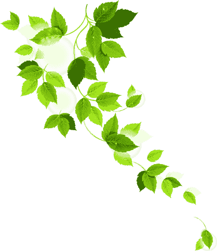 Behtar%20Zindagi