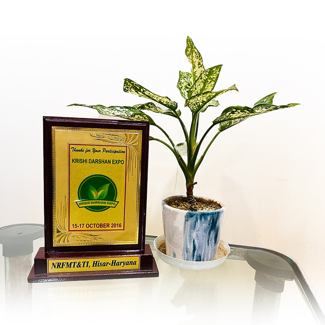 Krishi Darshan Expo 2016